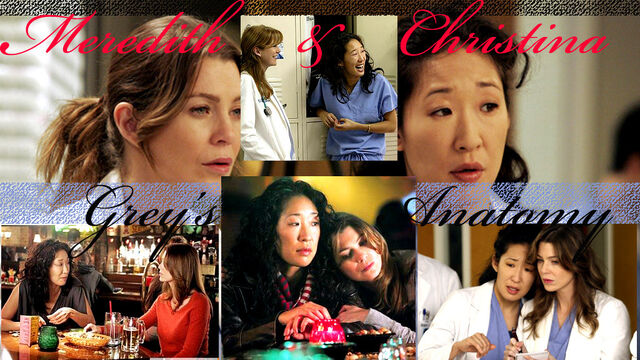 Datei:Meredith-Christina-greys-anatomy-2828257-1024-576.jpg