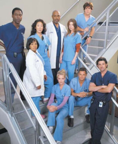 Datei:Greys cast...jpg