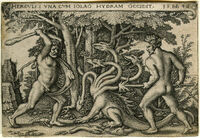 Hydra.jpg