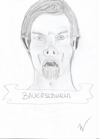 Datei:Bauerschwein.jpg