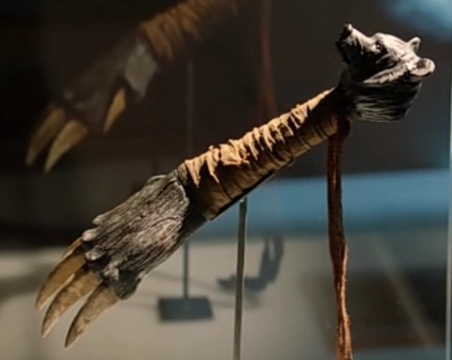 Bear Claw Grimm Wiki Fandom powered by Wikia