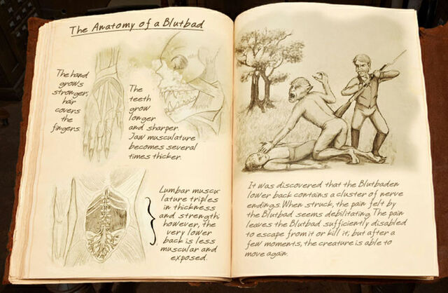 Archivo:Anatomíadeunblutbaddiario.jpg
