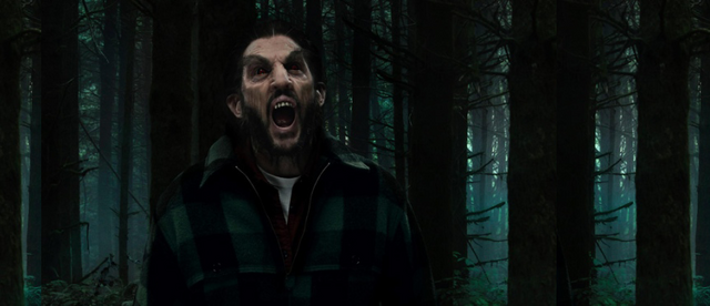 Archivo:Image grimm3.png