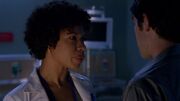 102 Doctor Rose Cautions