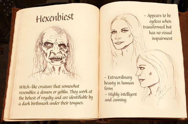 Archivo:Hexenbiestdiario1.jpg