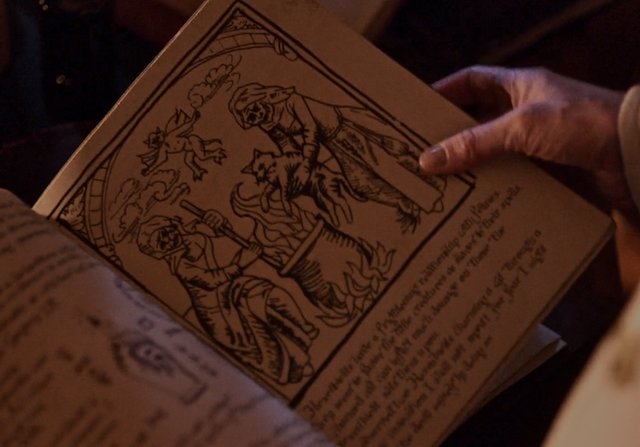File:419-Hexenbiest book.png