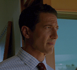 405-Renard woges.gif