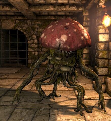 File:Toadstool herder ig.jpg