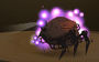 Poison Spider