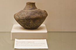 Manciano museo vaso a fiasco.jpg