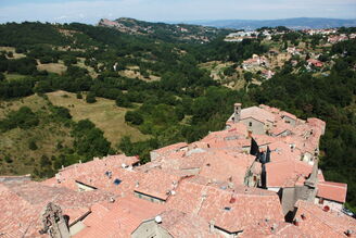 IMG 7286