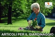 Images-8-.jpg