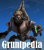 Grunt saltellante