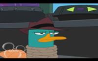 Plik:200px-Perrytrap2x39.jpg