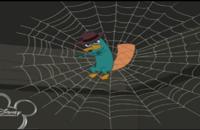 Plik:200px-Spider traps.jpg
