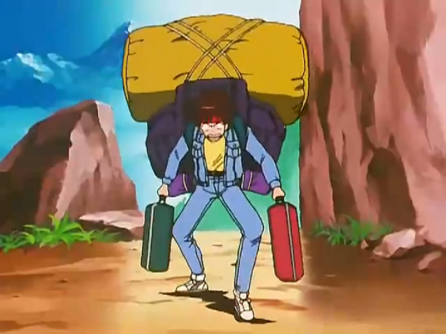 File:YokoshimaBags.png