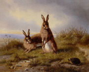 Carl Oswald Rostosky - Zwei Kaninchen und ein Igel 1861