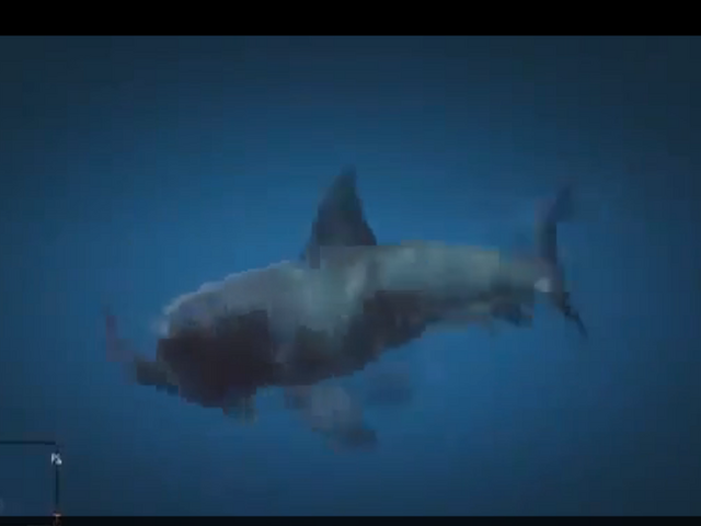 File:Shark attacking.png
