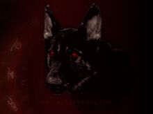 HellHound-urban-legends-822613 800 600