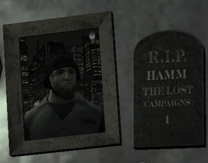 Hamm-1-.jpg