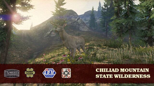File:State Wilderness .jpg