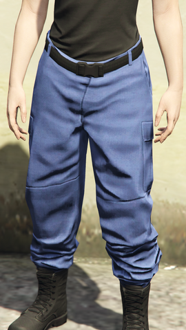 File:FreemodeFemale-CargoPantsHidden6-GTAO.png