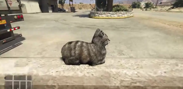 File:Cat-GTAV-Observing.png