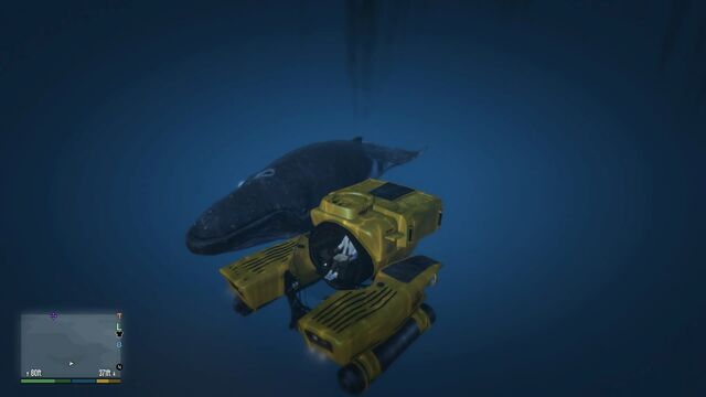 File:KrakenGTAVe Meets Whale.jpg