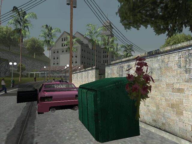 File:Flowers-GTASA-SpawnLocation.jpg
