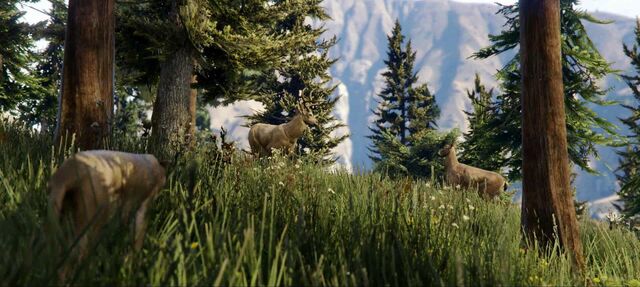 File:Deer-GTAV-nextgen.jpg
