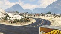 ChollaRoad-Street-GTAV