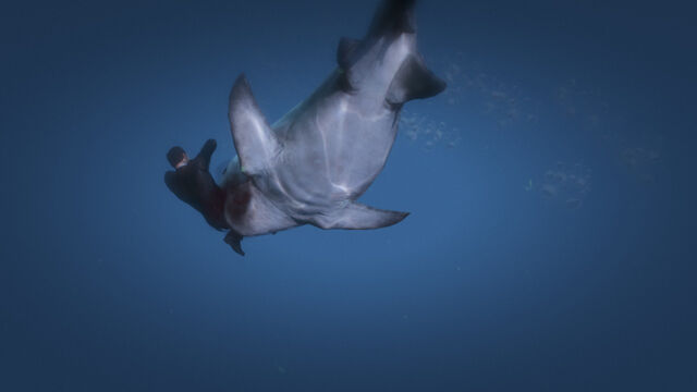 File:Shark beast eat.jpg