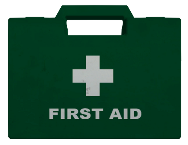 File:Healthpickup-GTAIV.png