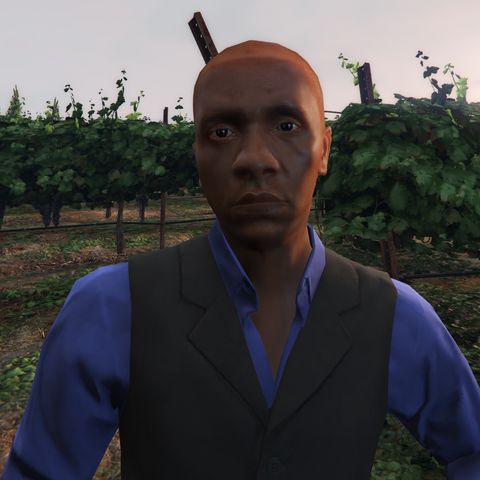 File:Unnamed Judge GTAO Portrait.png