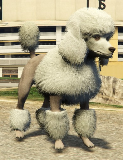 File:Poodle-GTAV-PS4.png