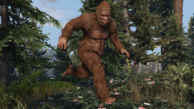 File:Peyote Plants Animals GTAVe Sasquatch.png.jpg