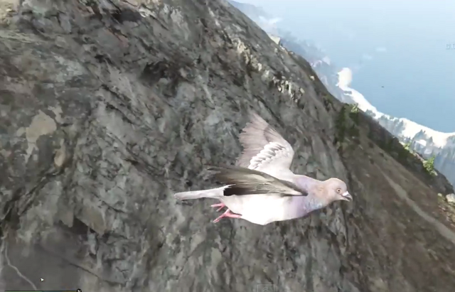 File:Pigeon-GTAV-PS4.png