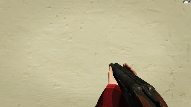 File:DoubleBarreledShotgun-GTAO-FPVAiming.png