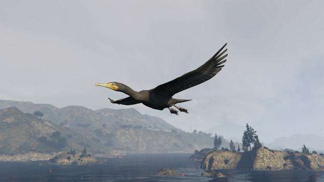 File:Peyote Plants Animals GTAVe Cormorant.png