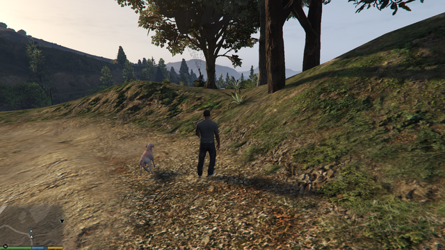 File:RiskAssessment-GTAV-HangingFromTree.png