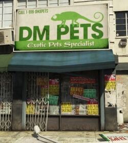 DMPets-GTAV
