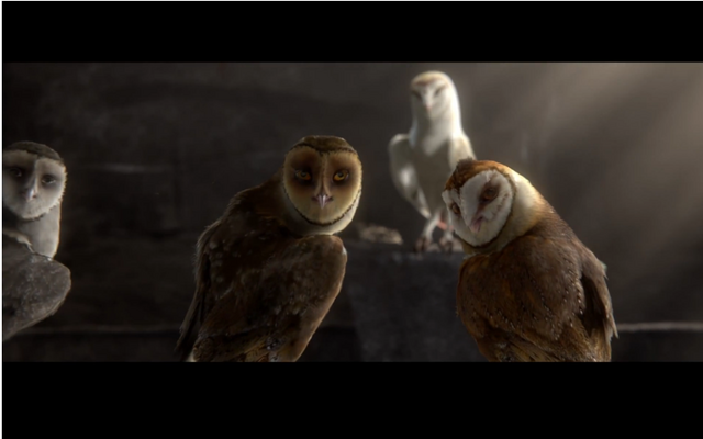 File:Grassowl4.png
