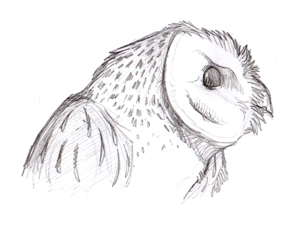 File:The High Tyto.png
