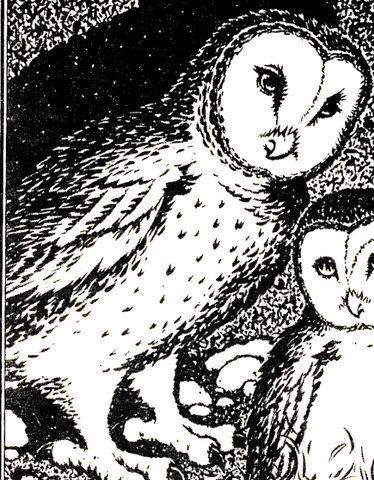 File:Gwyndor.png