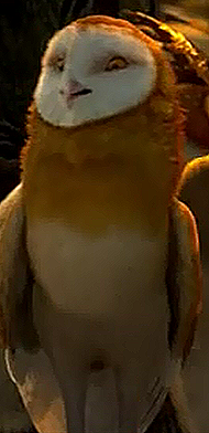 File:MarillaCapOwlsofGahoole.png