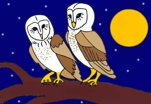 File:My Personal Image.png