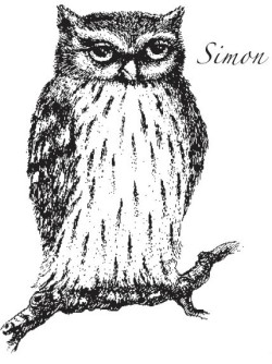 File:250px-Simon.jpg
