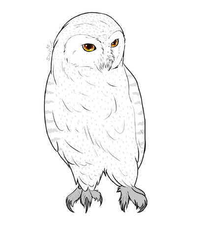 File:Albert re-design.png