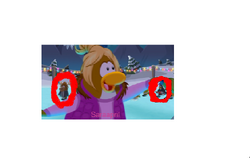 Polo field 2.png