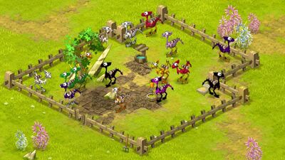 Cania Plains Paddock